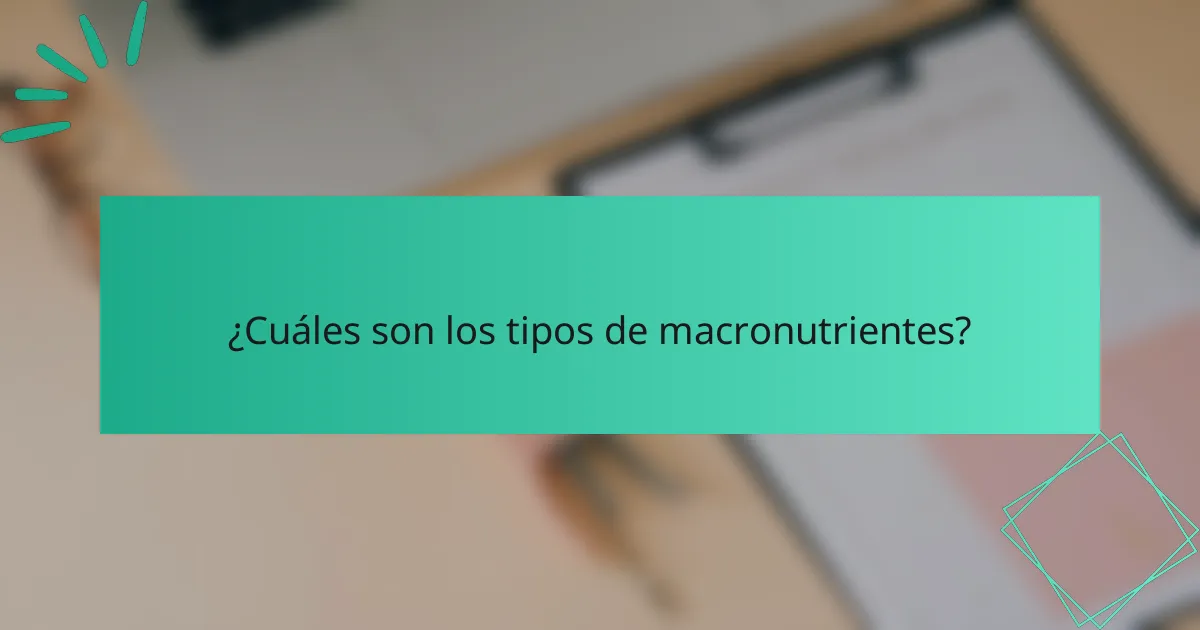 ¿Cuáles son los tipos de macronutrientes?