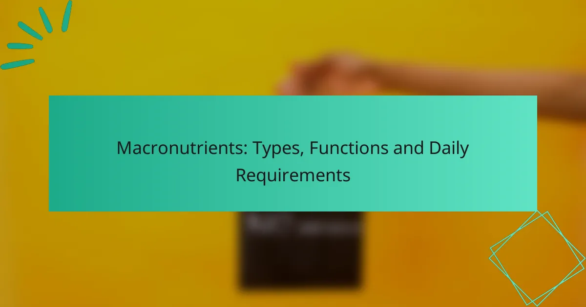 Macronutrientes: Tipos, Funciones y Requisitos Diarios